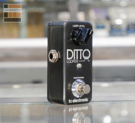 TC Electronic - DITTO LOOPER 3